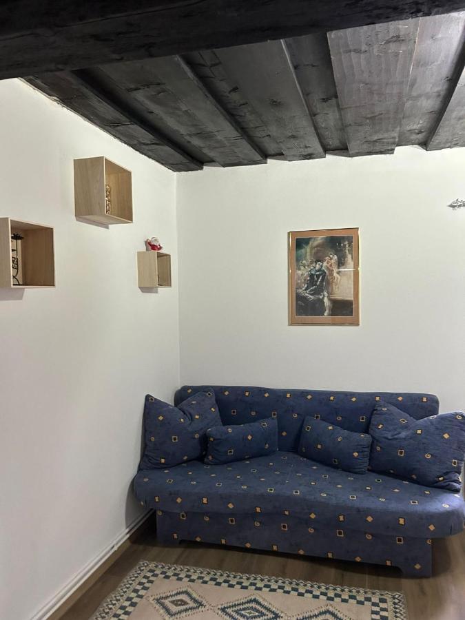 Blue House Apartment Ramingstein Екстериор снимка