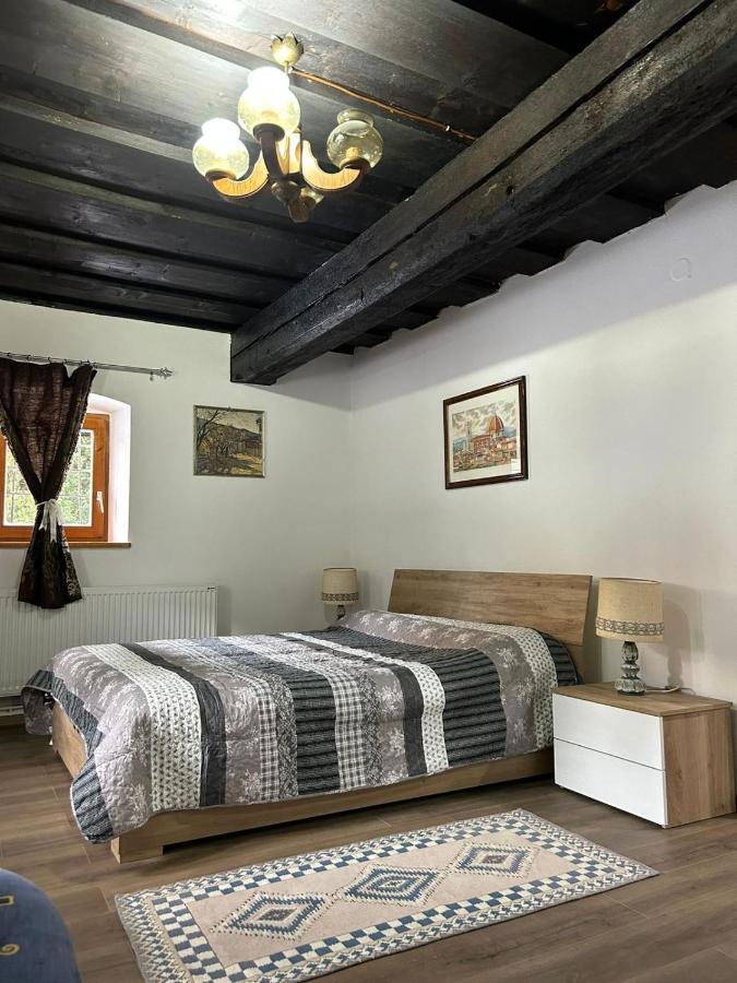 Blue House Apartment Ramingstein Екстериор снимка
